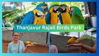 Thanjavur Rajali Birds Park  | Bird Park in Thanjavur @Homemakerrekha