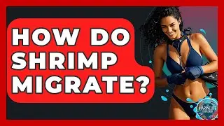 How Do Shrimp Migrate? - The Marine Life Explorer