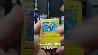 Pack a day challenge 2024. January 23rd. for some reason it didn't upload yesterday