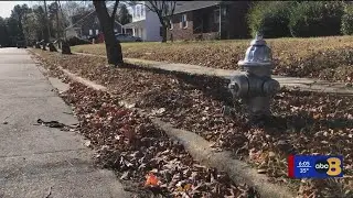 'No animal should have to die like that': Dead pit bull puppy found tied to fire hydrant next to a k