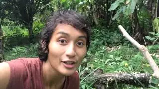 Mash up ~ Jungle Things, Cutie Crawlies, & Pink Bananas