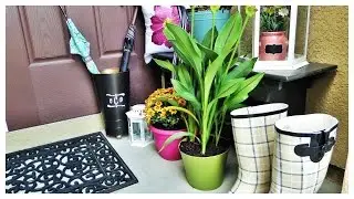 Budget Friendly | DIY Summer Project Ideas