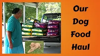 Bird Family in our Fern, Dog Food Haul, Juliana (chocolate lab) house time, Inspirational Thought