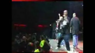 los sie7e en vivo . pelones ebrios en la casa