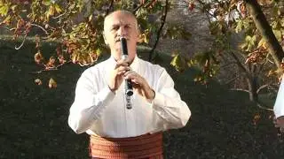 Milisav Jovanovic - Radikalka kolo
