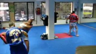 stam v.s. zambidis