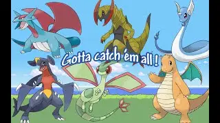 Respawn 180+ DRAGON Shamouti - PAdventures