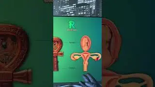 Egyptian gods symbolize the different body parts of your body