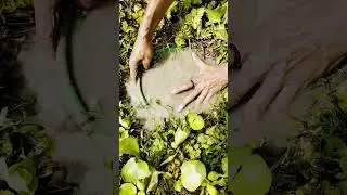Fishing techniques part-1414 #fish #fishing #foryou