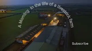 Before the Day Starts | Early Morning Feeding on a Lincolnshire Farm