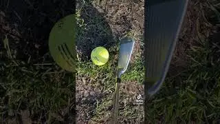 The Best Mizuno Blade of all time #mizunogolf #golfclub