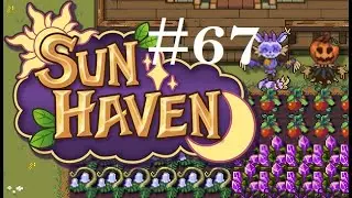 Sun Haven #67: Combat Expedition thru Nel'Vari