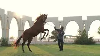 Ghantoot Racing & Polo Club - Presentation