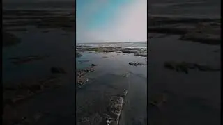 veraval sea beach #shorts #beach #veraval