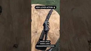 Henry X Model 357 | Ranger Point Precision