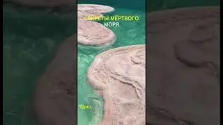 Секреты Мёртвого моря #fact #интересное #наука #топ