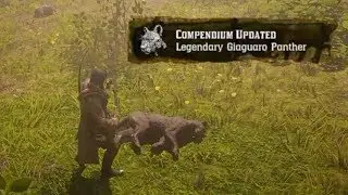 Мастер Охотник 10 Легендарная Пантера Гиагуаро в RDR2! КАК УБИТЬ?