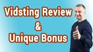 Vidsting Review💥