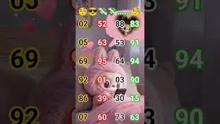 Find same number in puzzle 🧩