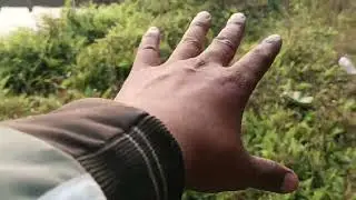 I found the best plants here.