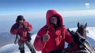 карачаевская порода лошадей