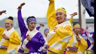 【公式】坂戸よさこい　妃龍「上昇Kiryu」