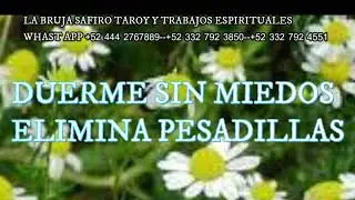 COMO PROTEGER TUS SUE&Ntilde;OS DUERME BIEN