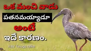 jeevitha sathyalu#110| manchi maatalu|inspiration quotes| motivational quotes|life changing quotes