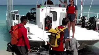 From Beginner to Diver in a Day: Grand Cayman's Resort Scuba Experience