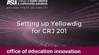 Set Up Yellowdig for CRJ201