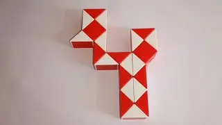 Make a Bird with Snake Cube