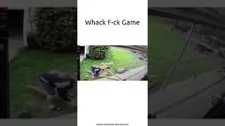 Whack Fuck Game