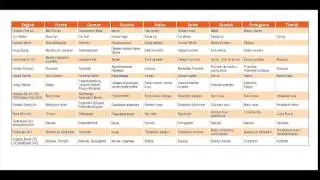 CircusGuide