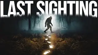 The Mysterious Disappearance of Cryptids in 2024