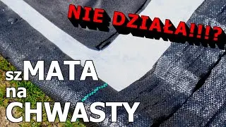 (sz) MATA na CHWASTY? Nie zadziała bo wszystko robisz źle!!!