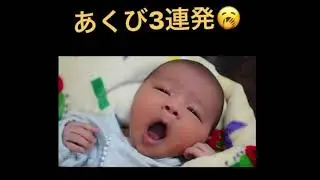 [Healing ] Baby yawning 3 barrage #shorts