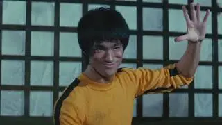 Bruce Lee X MASHLE (Bruce Lee Tribute) - Knock Out by Okazaki Taiiku