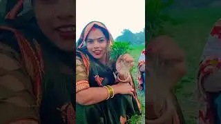 #sapnapawai #sorts ❤️❤️❤️🙏🙏