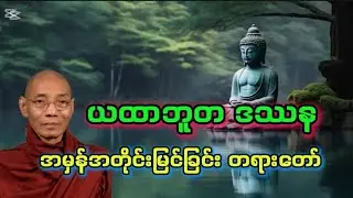 အမှန်အတိုင်းမြင်ခြင်း တရားတော်#ပါချုပ်ဆရာတော်ကြီး@သောတာပန် 