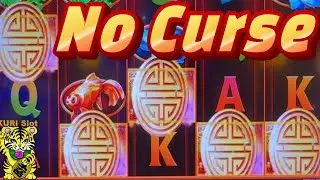 ★DEFINITELY NO CURSE !! SUPER BIG WIN BONUS GAMES !★4 SLOTS BIG BONUS WIN☆栗スロ