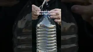 Genius DIY Bird Feeder from a Plastic Bottle