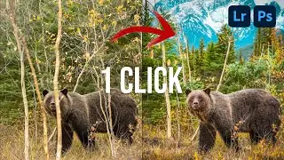 Diese KI verändert alles - Generatives Füllen in Photoshop für bessere Fotos