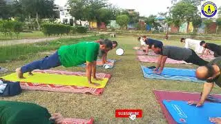 Yoga Exercise For Complete Beginners - 20 Minute Home Yoga Workout! TWC