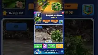 Clash Royale Cards IRL 😂