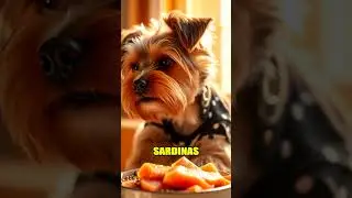 &iexcl;PELO BRILLANTE en perros con estos alimentos! 🐶✨