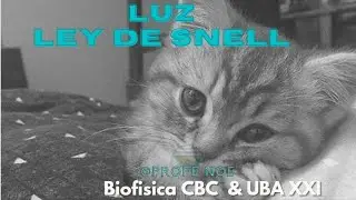 Ondas: luz y Ley de Snell - Biofísica CBC & UBA XXI