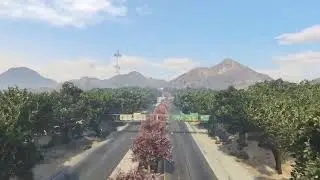 [FREE] FiveM Vegetation (MLO/MAP) FREE | Anarchy FiveM Community