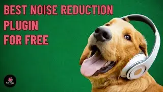 Best noise reduction plugin for free in 2023