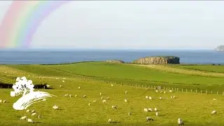 Green Hill Music - Irish Spirit [St. Patrick's Day Visualizer]