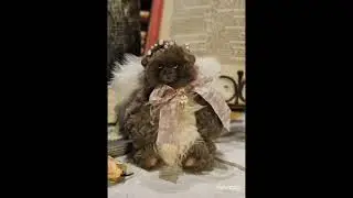 Teddy Cupid Lenaspuppenwelt.tedsby.com/ru/my #teddybear #cute #teddy
